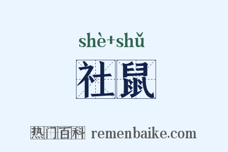 社鼠是什么意思的图片
